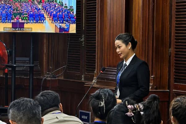 Luật sư: Người mẫu An Tây 'xa mẹ từ nhỏ, hiểu biết pháp luật hạn chế'