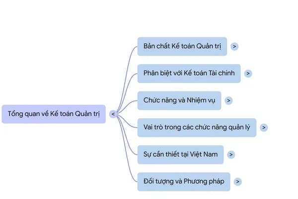 giao-tri-ke-toan-quan-tri